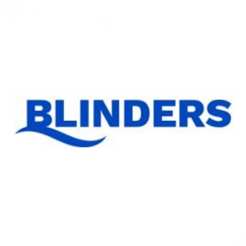 BLINDERS ajev.pptx