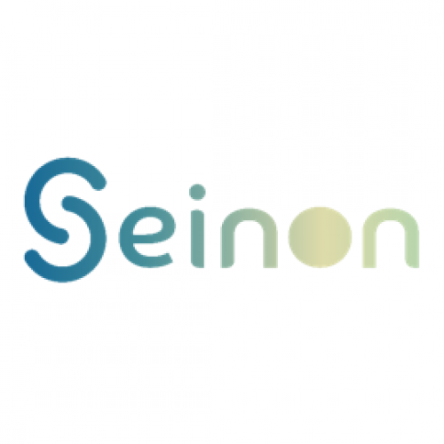 logo SEINON web consolida